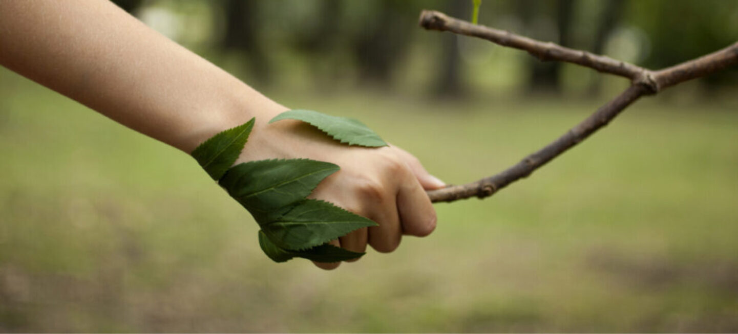 Ma raison d’être Vokeo